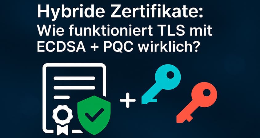 Hybrid SSL PQC